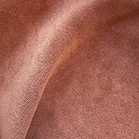 Aster Clay Velvet